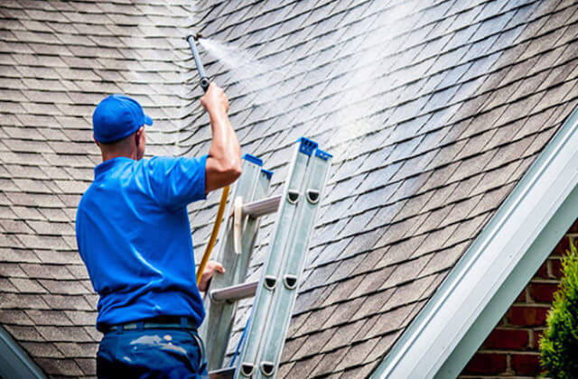 norfolk roof cleaning